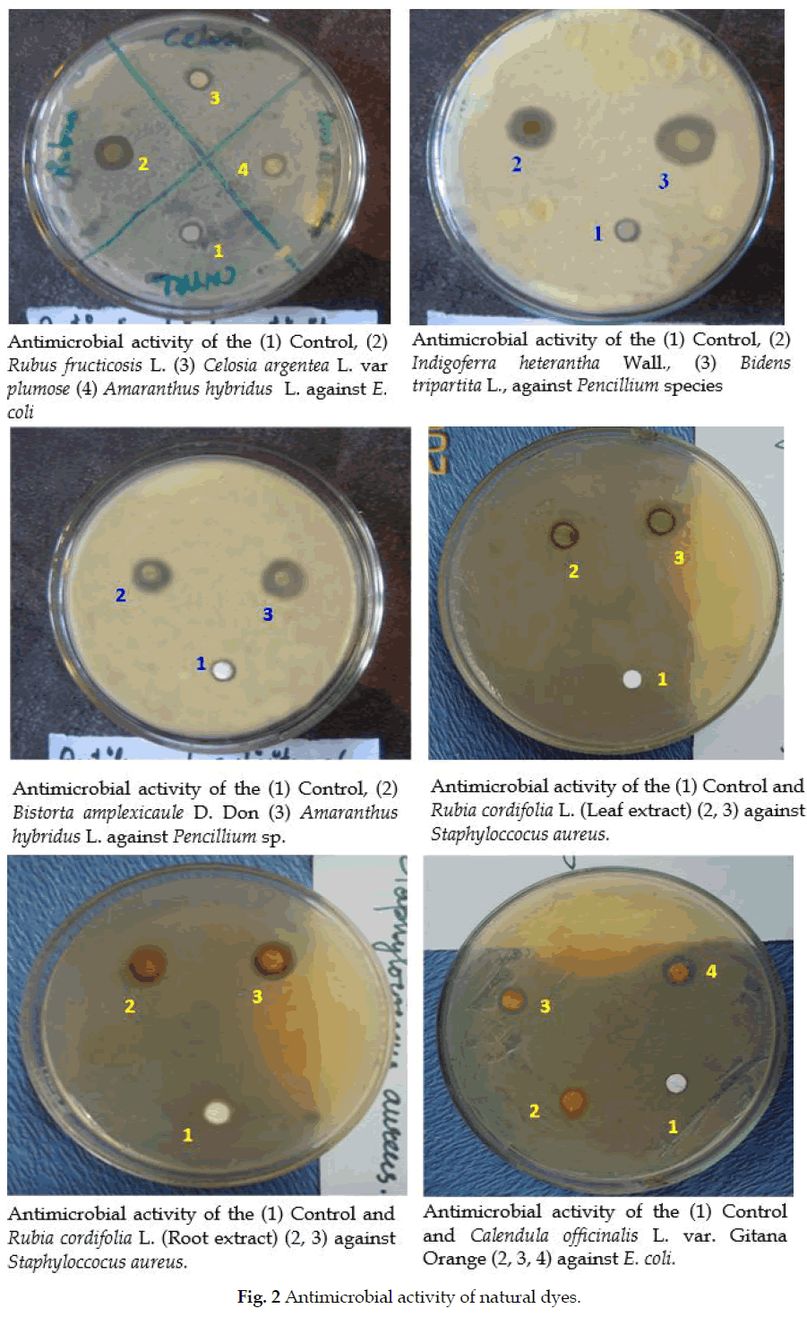 icontrolpollution-Antimicrobial-natural-dyes