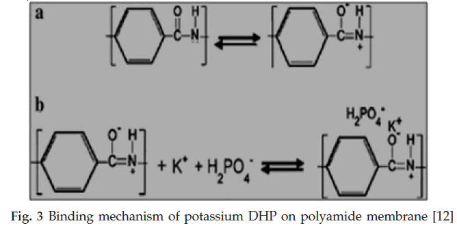 icontrolpollution-Binding-mechanism-potassium