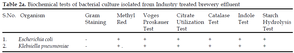 icontrolpollution-Biochemical-bacterial-isolated