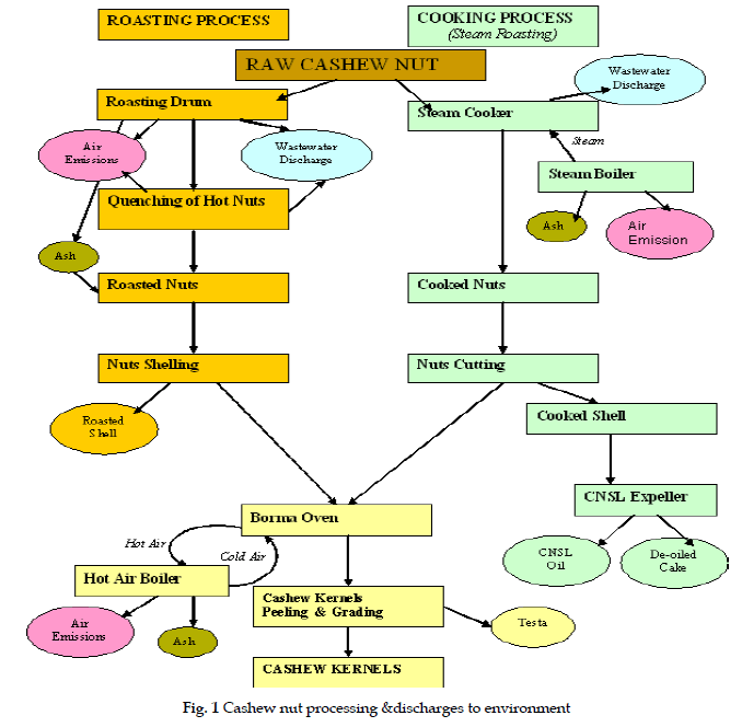 icontrolpollution-Cashew-nut-processing