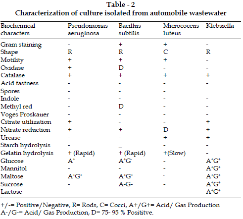 icontrolpollution-Characterization-culture-automobile