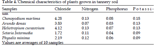 icontrolpollution-Chemical-tannery-soil