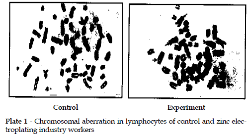 icontrolpollution-Chromosomal-aberration-lymphocytes