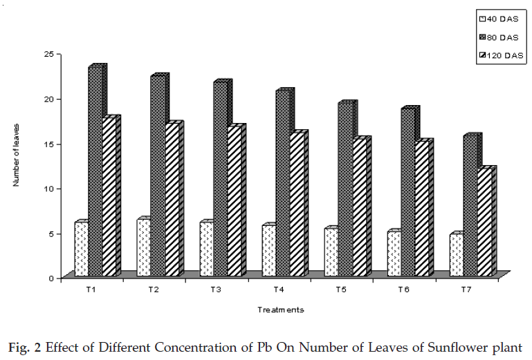 icontrolpollution-Different-Number-Leaves