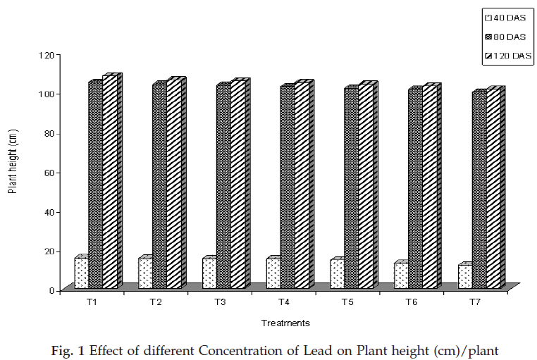 icontrolpollution-Effect-Plant-height