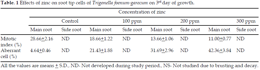 icontrolpollution-Effects-zinc-root