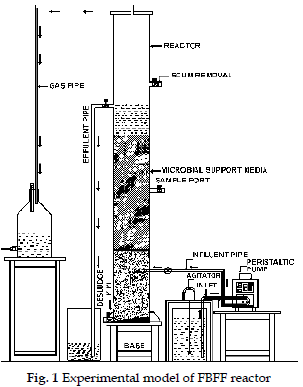 icontrolpollution-Experimental-model-FBFF-reactor