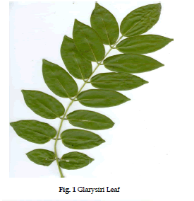 icontrolpollution-Glarysiri-Leaf