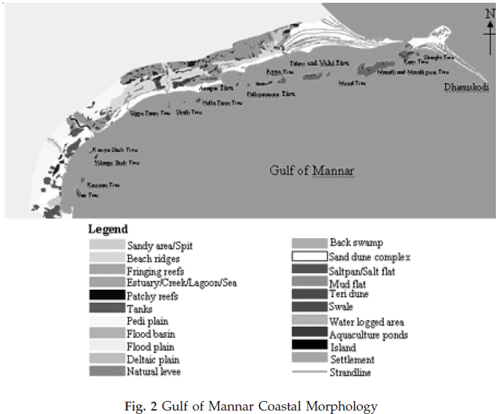 icontrolpollution-Gulf-Mannar-Morphology