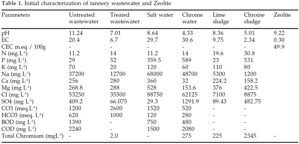 icontrolpollution-Initial-tannery-Zeolite