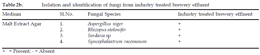 icontrolpollution-Isolation-identification-fungi