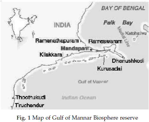 icontrolpollution-Map-Gulf-Mannar-Biosphere