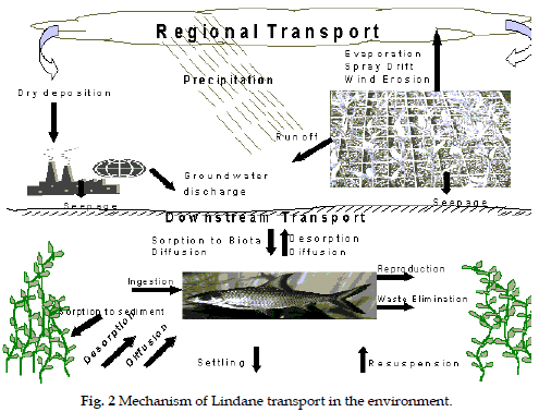 icontrolpollution-Mechanism-Lindane-transport