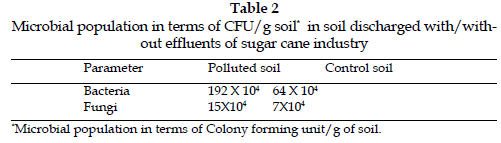 icontrolpollution-Microbial-population-soil