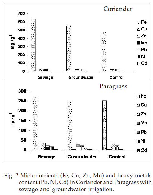 icontrolpollution-Micronutrients-groundwater-irrigation