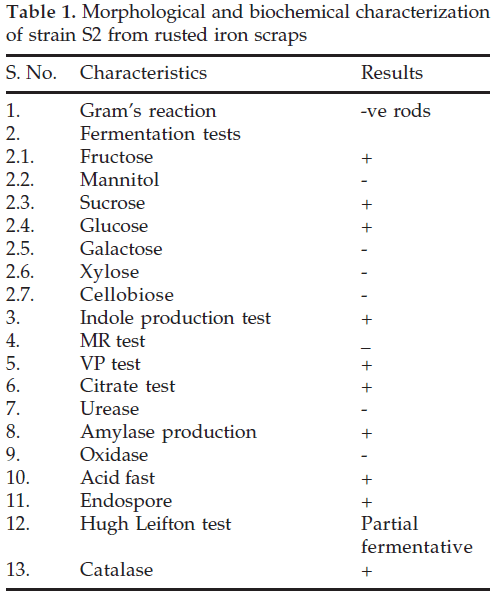 icontrolpollution-Morphological-biochemical-rusted