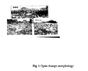 icontrolpollution-Open-dumps