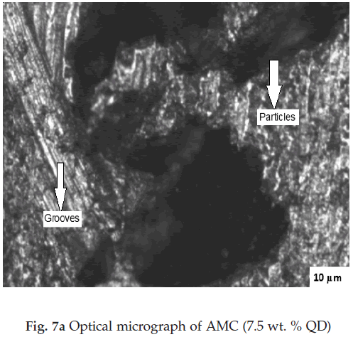 icontrolpollution-Optical-micrograph