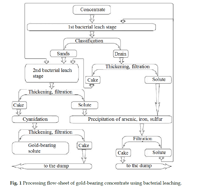 icontrolpollution-Processing-flow-sheet