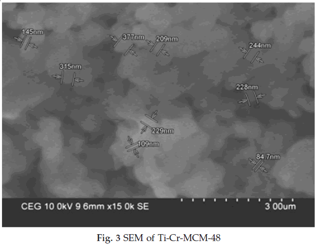 icontrolpollution-SEM-Ti-Cr-MCM