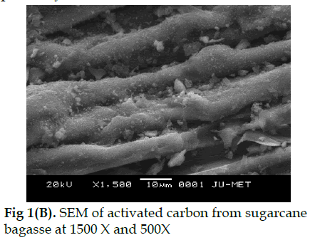 icontrolpollution-SEM-activated-carbon