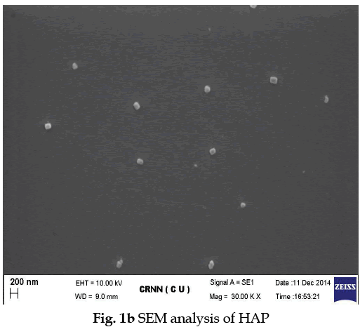 icontrolpollution-SEM-analysis-HAP