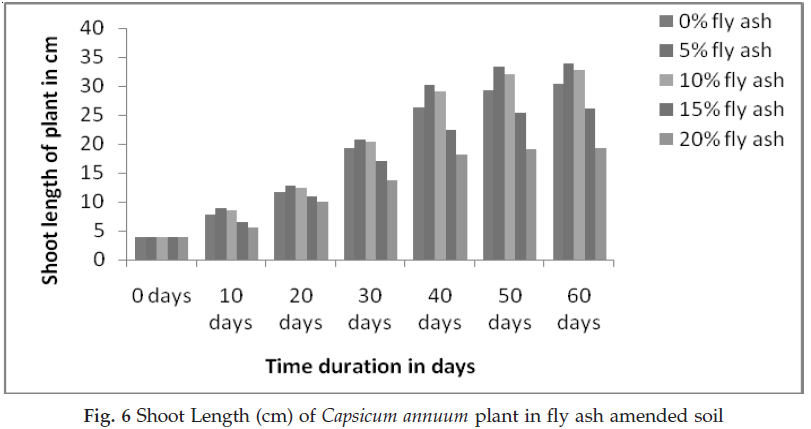 icontrolpollution-Shoot-Length-Capsicum