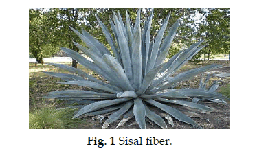 icontrolpollution-Sisal-fiber