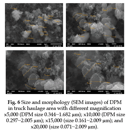 icontrolpollution-Size-morphology