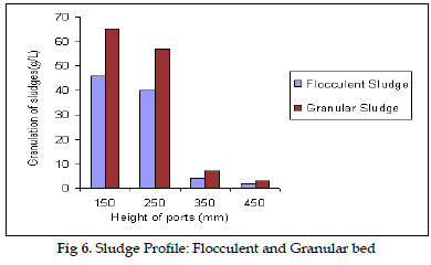 icontrolpollution-Sludge-Flocculent-Granular