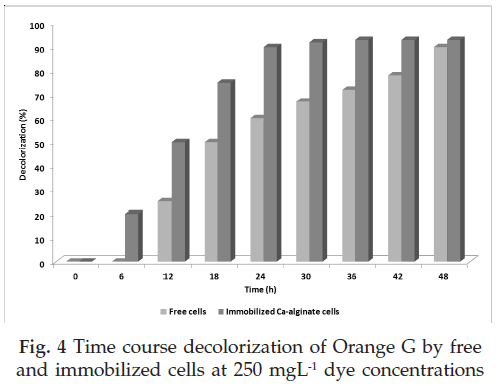 icontrolpollution-Time-decolorization-Orange