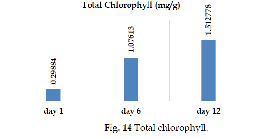 icontrolpollution-Total-chlorophyll