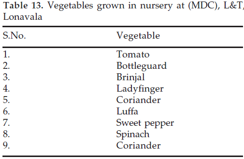 icontrolpollution-Vegetables-nursery-Lonavala