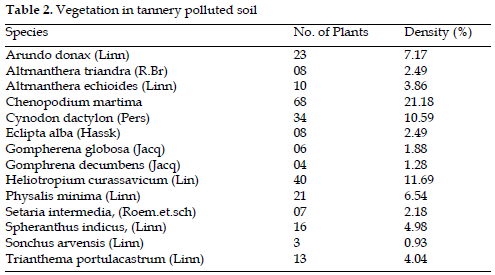 icontrolpollution-Vegetation-tannery-polluted