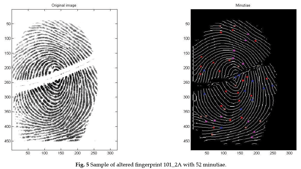 icontrolpollution-altered-fingerprint