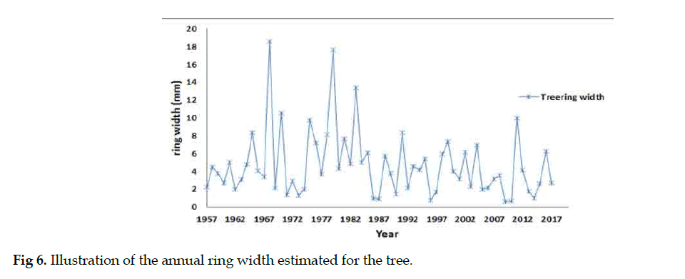 icontrolpollution-annual-ring