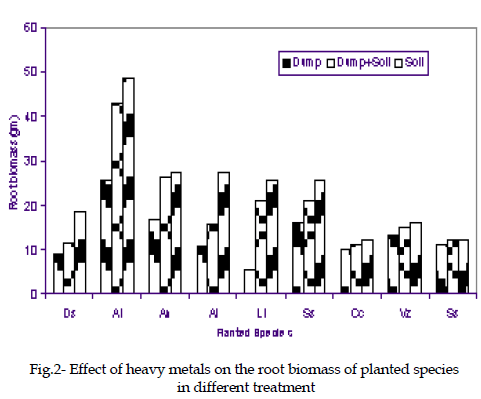 icontrolpollution-biomass-planted