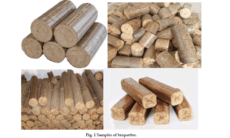 icontrolpollution-briquettes
