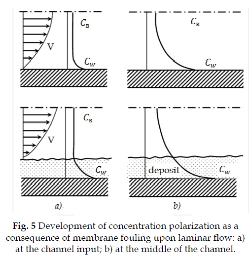 icontrolpollution-concentration-polarization