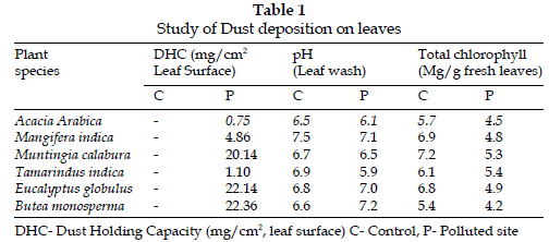 icontrolpollution-deposition-leaves