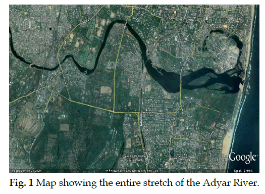 icontrolpollution-entire-stretch-Adyar-River