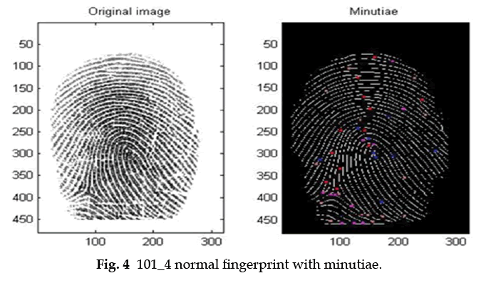 icontrolpollution-fingerprint-minutiae