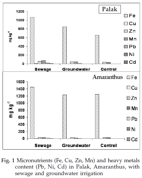 icontrolpollution-groundwater-irrigation