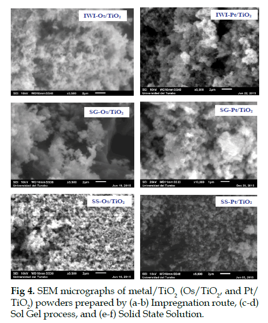 icontrolpollution-micrographs