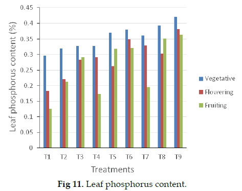 icontrolpollution-phosphorus-content