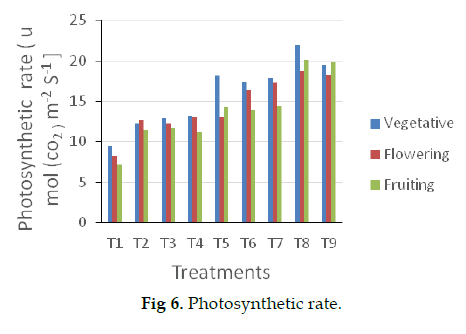 icontrolpollution-photosynthetic