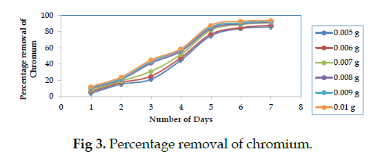 icontrolpollution-removal-chromium