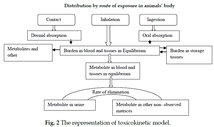 icontrolpollution-representation-toxicokinetic-model