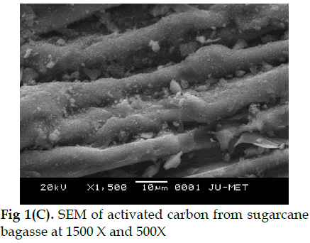 icontrolpollution-sugarcane-bagasse